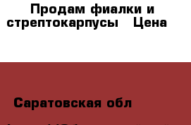 Продам фиалки и стрептокарпусы › Цена ­ 50 - Саратовская обл.  »    